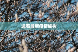 速看最新疫情榆树