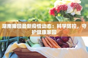 湖南隆回最新疫情动态：科学防控，守护健康家园