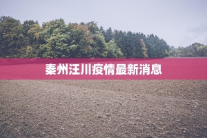 秦州汪川疫情最新消息