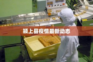 北京最新疫情圆通