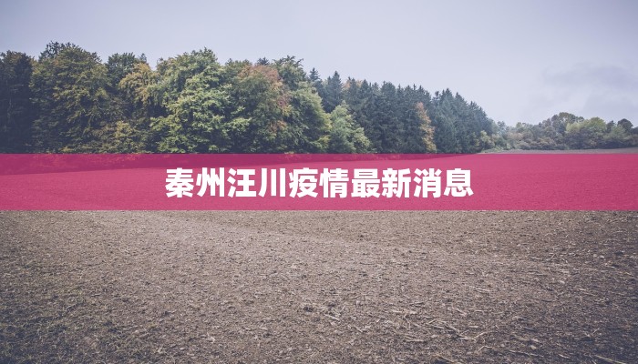 秦州汪川疫情最新消息