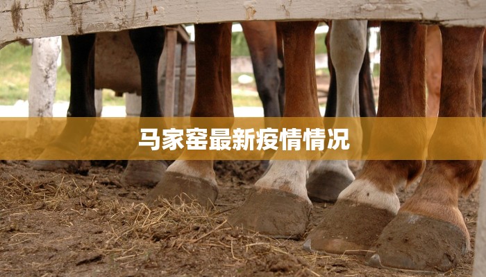 马家窑最新疫情情况 马家窑最新疫情情况