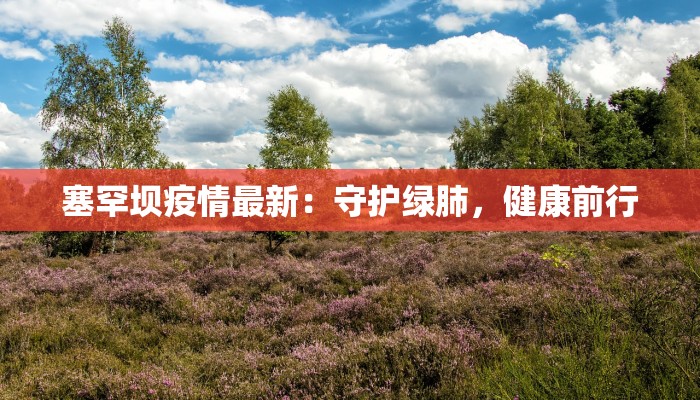 六安疫情实时状况最新